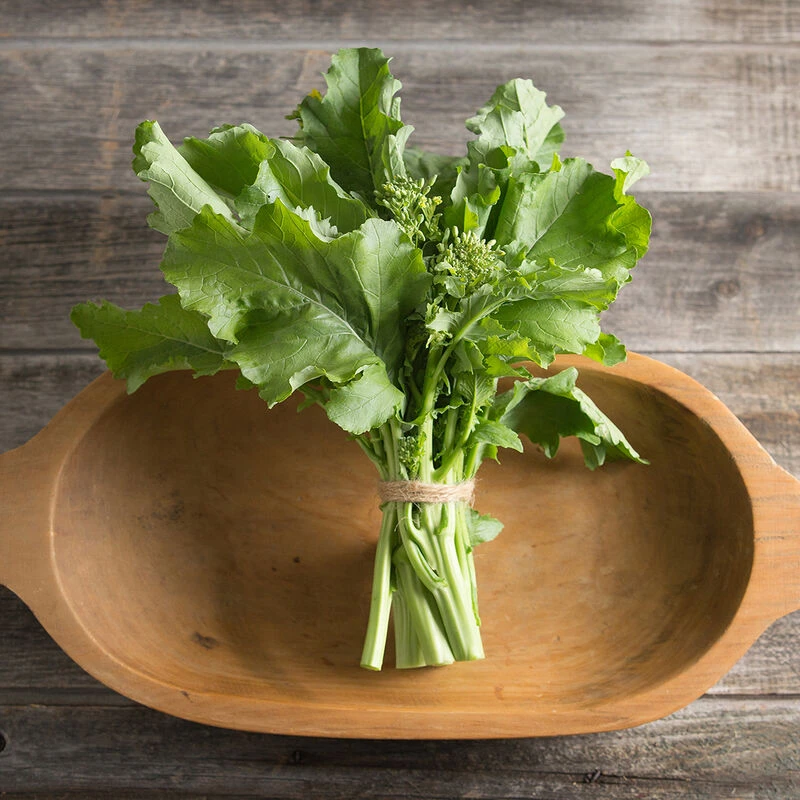 Spring Raab 2 Spring Raab - Image 2