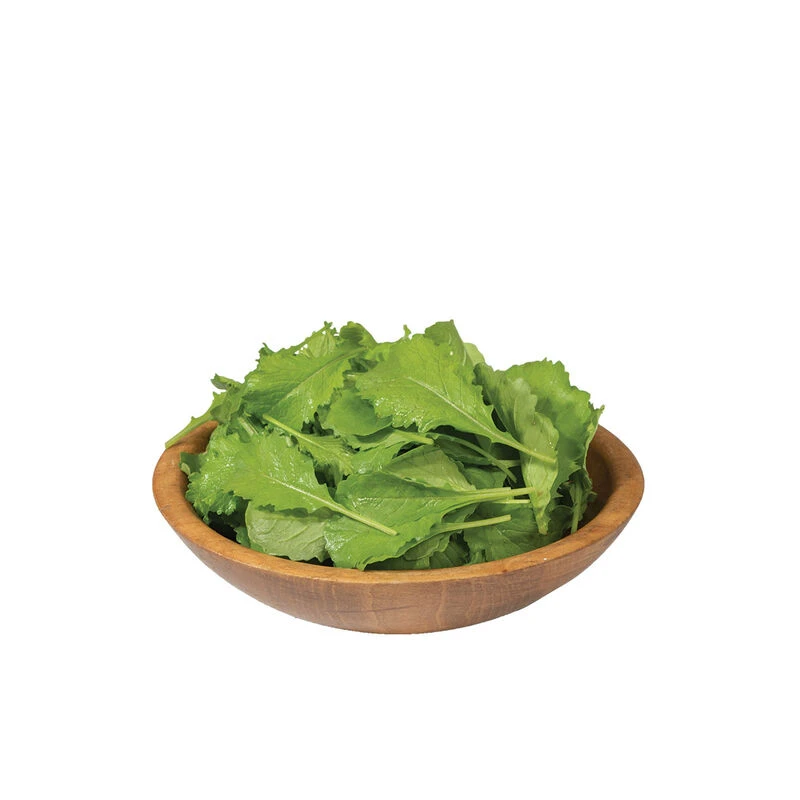 Green Wave 1 Green Wave