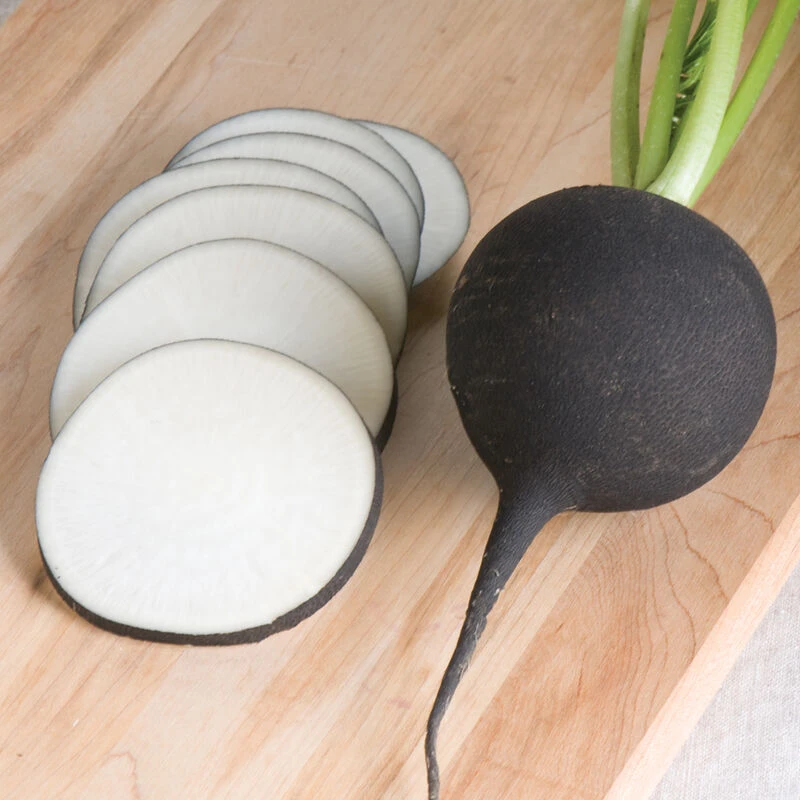 Nero Tondo 1 Nero Tondo