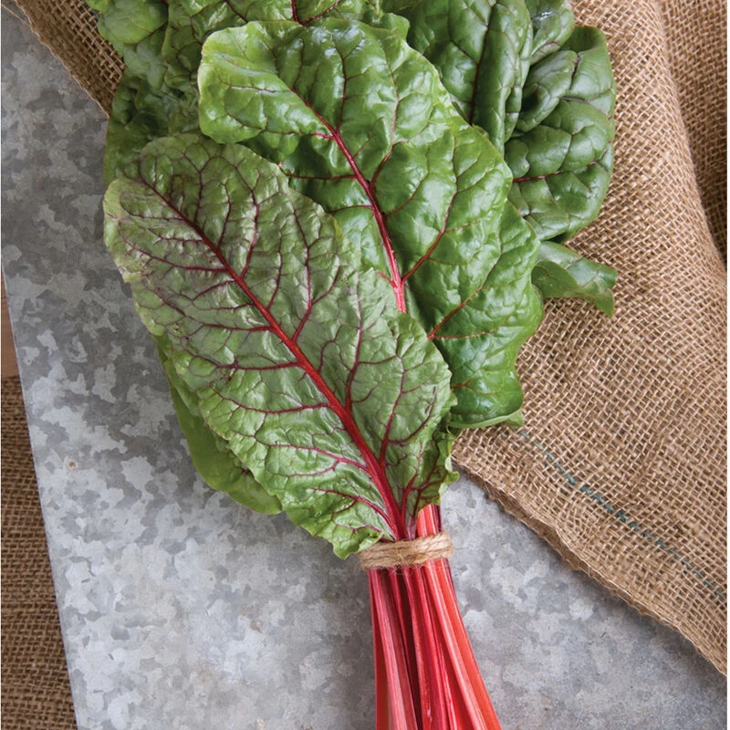 Ruby Red Or Rhubarb Chard 1 Ruby Red Or Rhubarb Chard