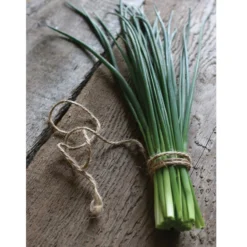 Staro 7 Staro -Whisper Glen Sales Store 00840 04 staro