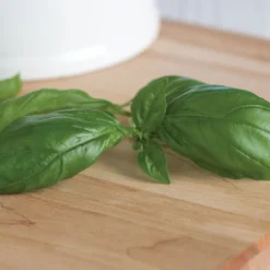 Genovese 8 Genovese -Whisper Glen Sales Store 00911 03 genovese