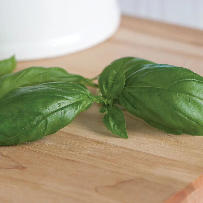 Genovese 3 Genovese - Image 3