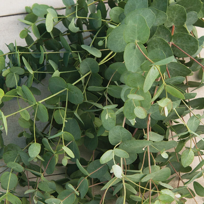 Silver Drop 1 Silver Drop