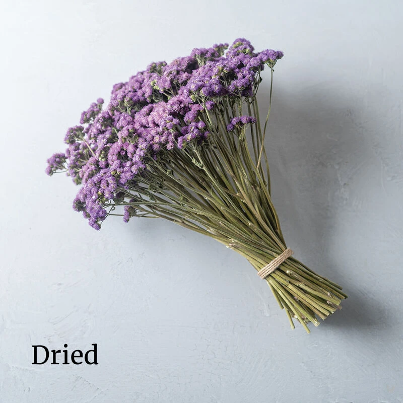 Tall Blue Planet 2 Tall Blue Planet - Image 2