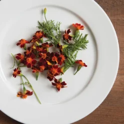 Red Gem 5 Red Gem -Whisper Glen Sales Store 01857 02 redgem