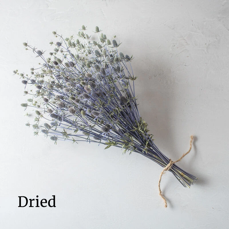 Blue Glitter 2 Blue Glitter - Image 2