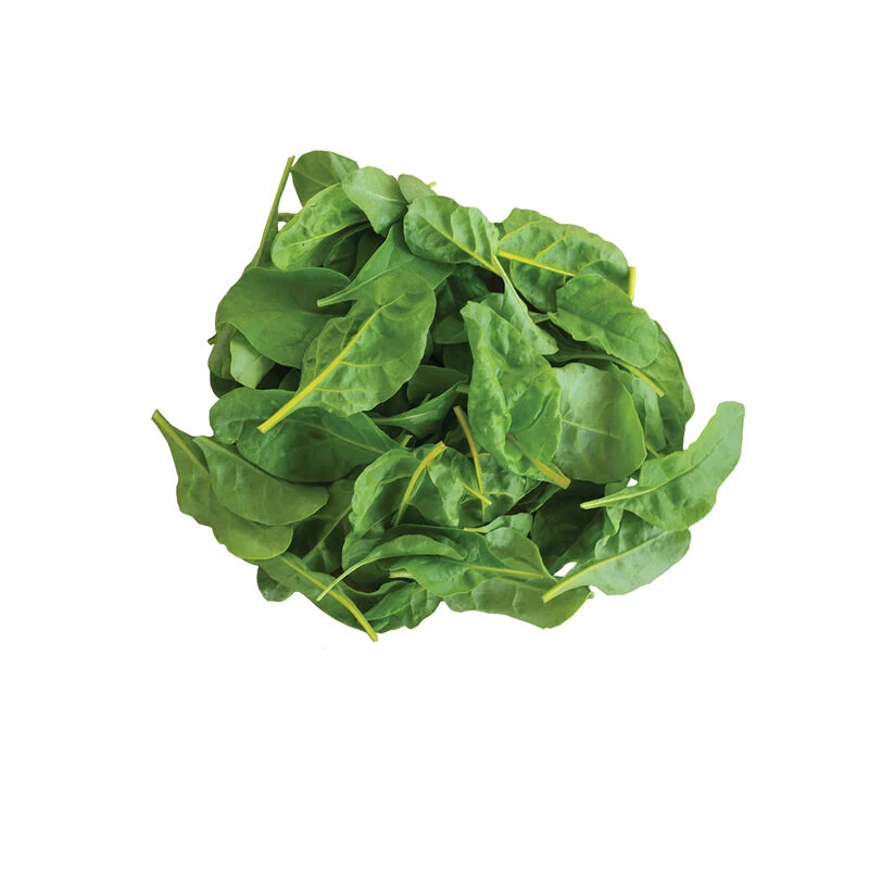 Bright Yellow 3 Bright Yellow - Image 3