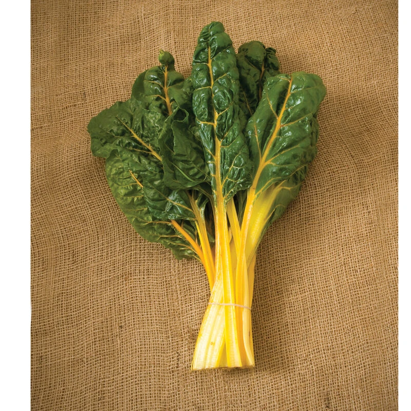 Bright Yellow 2 Bright Yellow - Image 2