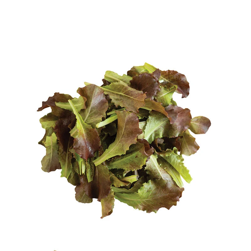 Outredgeous 3 Outredgeous - Image 3