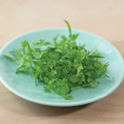 Chervil -Whisper Glen Sales Store 02441m 03 vertissimomicro