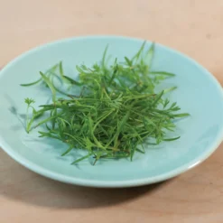 Carrot -Whisper Glen Sales Store 02468m 03 o p carrot