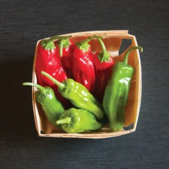 Mellow Star 5 Mellow Star -Whisper Glen Sales Store 02592 03 mellowstar