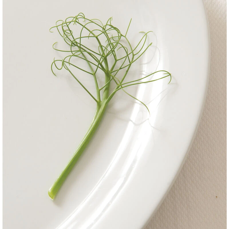 Feisty 2 Feisty - Image 2