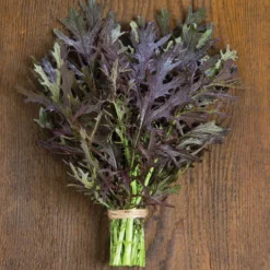 Ruby Streaks -Whisper Glen Sales Store 02740g 01 ruby streaks