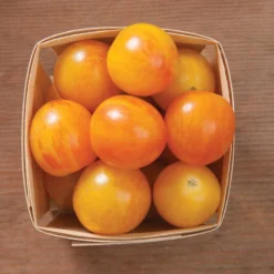 Sunrise Bumble Bee -Whisper Glen Sales Store 03112g 03 sunrisebumble