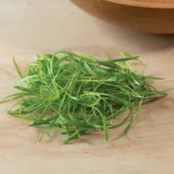 Fennel, Green -Whisper Glen Sales Store 03152m 03 fennelgreensilo