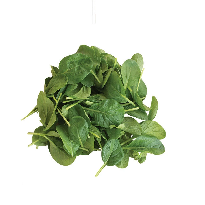 Koji 3 Koji - Image 3