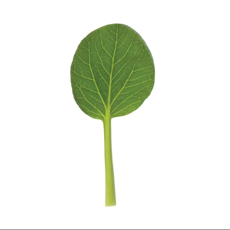 Koji 2 Koji - Image 2