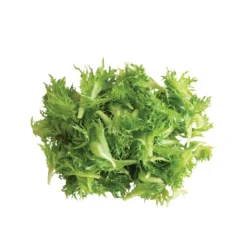 Coastline -Whisper Glen Sales Store 03268g 03 coastline