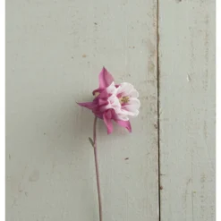 Pink Petticoat 5 Pink Petticoat -Whisper Glen Sales Store 03296 02 pink petticoat