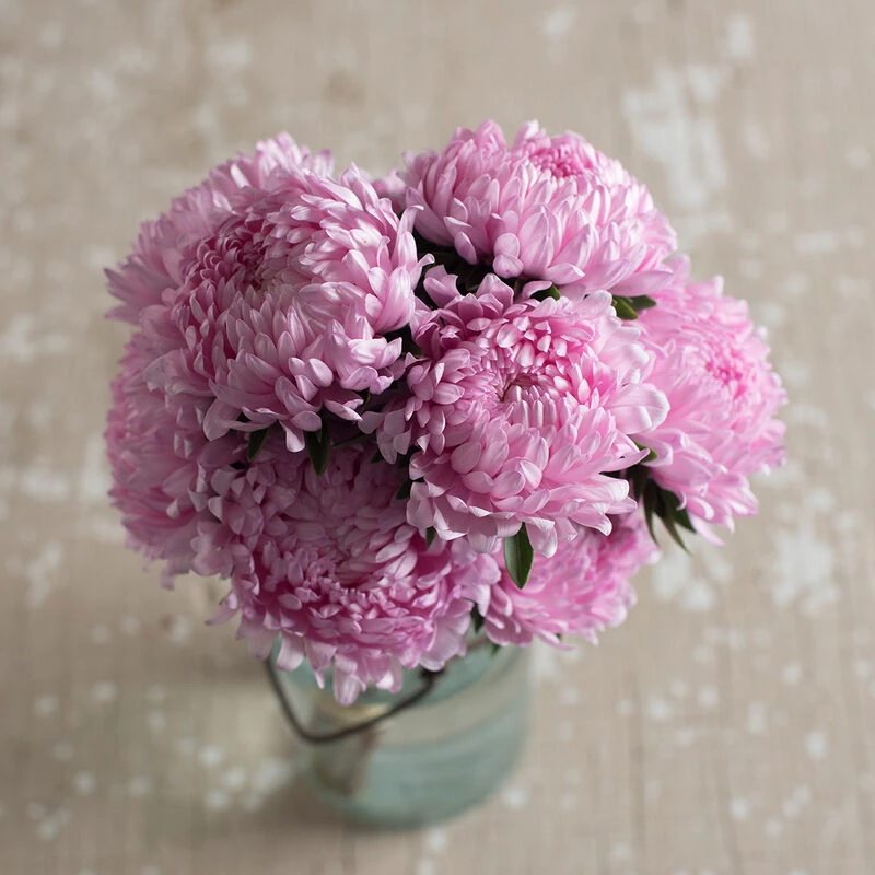 Tower Salmon 2 Tower Salmon - Image 2