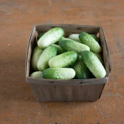 Quirk -Whisper Glen Sales Store 03408 03 quirk