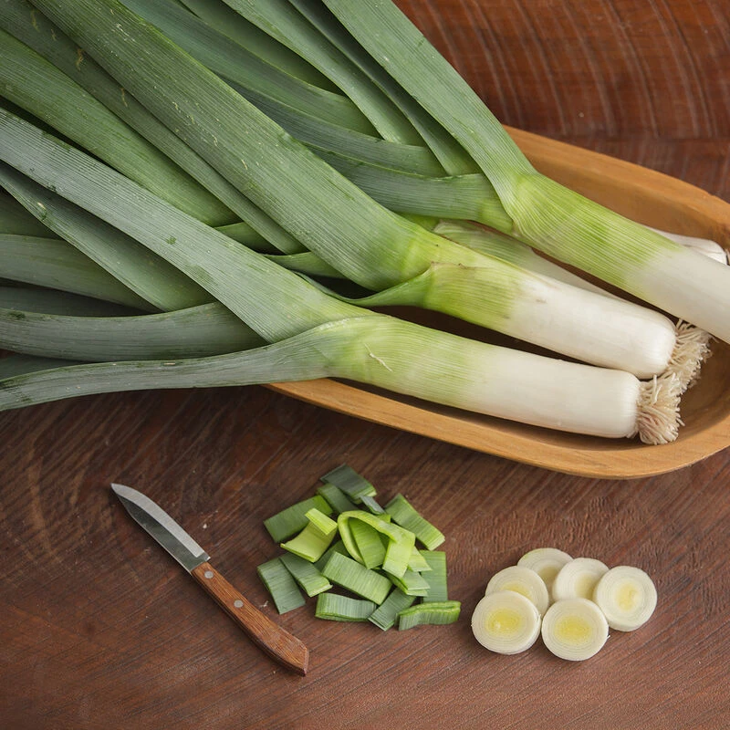 Rally 2 Rally - Image 2