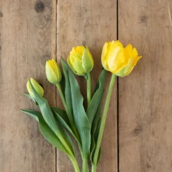 Marie Jo -Whisper Glen Sales Store 03476 03 marie jo