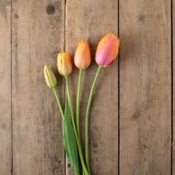 Dordogne 7 Dordogne -Whisper Glen Sales Store 03482 05 dordonge