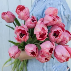 New Arrival -Whisper Glen Sales Store 03491 02 design impression