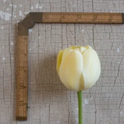 Ivory Floradale -Whisper Glen Sales Store 03492 03 ivory floridale