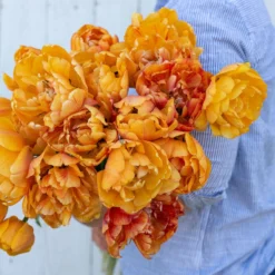 New Arrival -Whisper Glen Sales Store 03493 02 sunlover