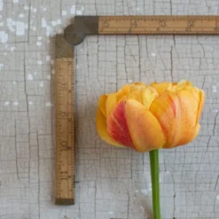 Sunlover -Whisper Glen Sales Store 03493 03 sunlover