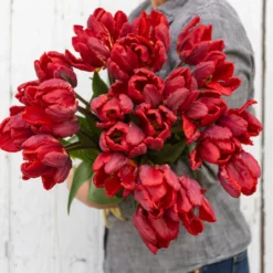 Rococo 9 Rococo -Whisper Glen Sales Store 03497 03 rococo