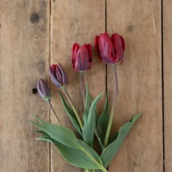 Rococo 8 Rococo -Whisper Glen Sales Store 03497 04 rococo