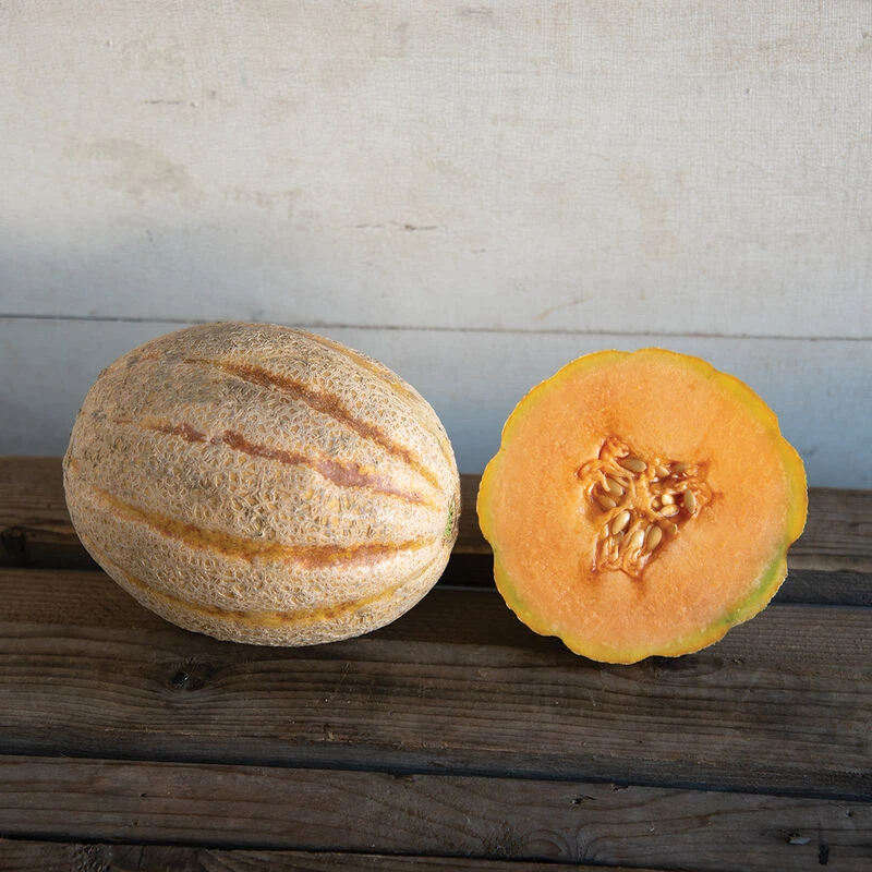 Hannah's Choice 1 Hannah's Choice