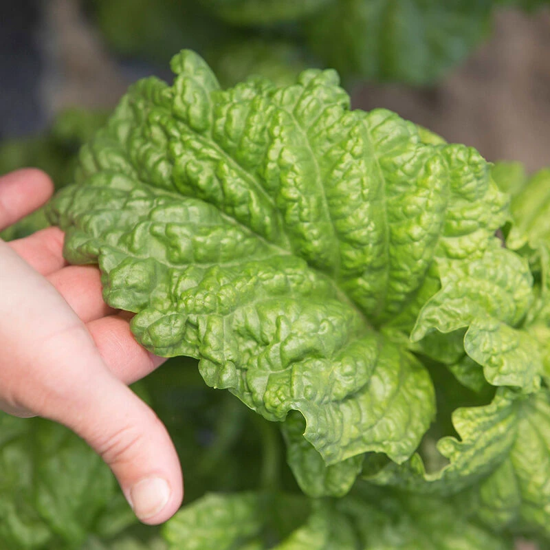 Tuscany 2 Tuscany - Image 2