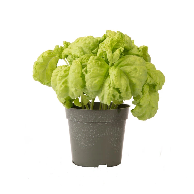 Tuscany 3 Tuscany - Image 3