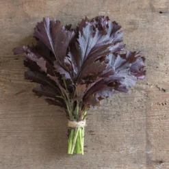 Miz America -Whisper Glen Sales Store 03749 01 mizamerica