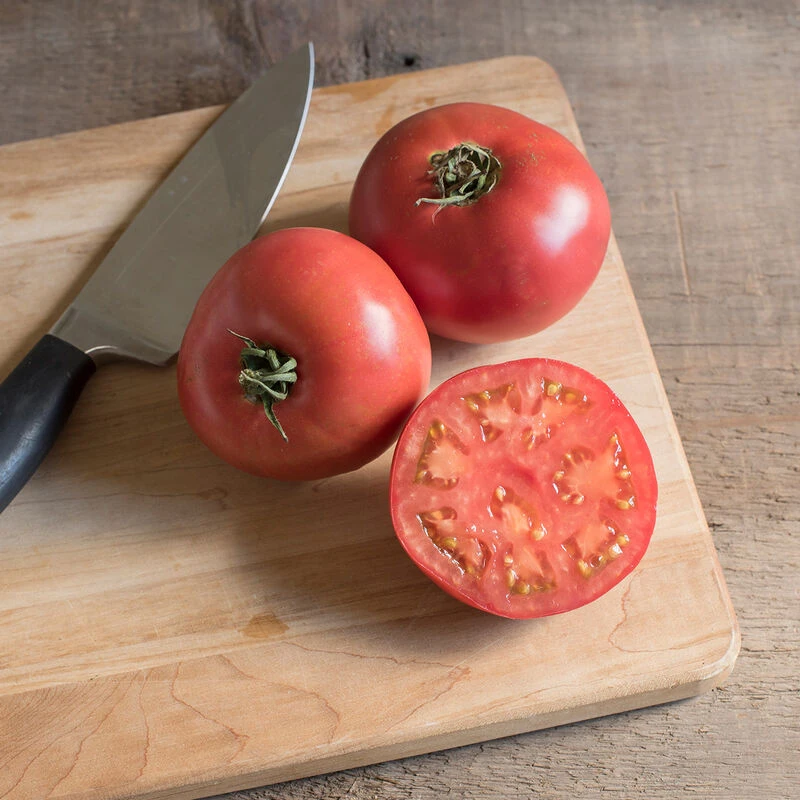 Damsel 2 Damsel - Image 2