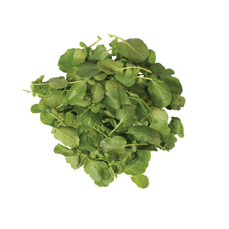 Upland Cress 2 Upland Cress - Image 2