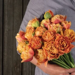 Sensual Touch -Whisper Glen Sales Store 04058 04 sensual touch