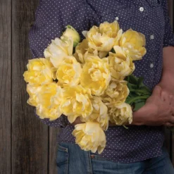 New Arrival -Whisper Glen Sales Store 04062 02 verona