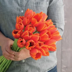 New Arrival -Whisper Glen Sales Store 04229 02 worlds favorite