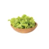 Green Saladbowl