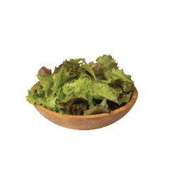 Red Sails -Whisper Glen Sales Store 0431g 04 redsails