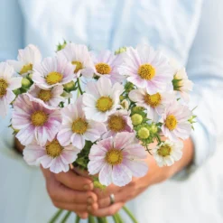 Whisper Glen Sales Store -Whisper Glen Sales Store 04333 02 versaillesflush