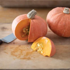 Marmalade 5 Marmalade -Whisper Glen Sales Store 04424g 03 marmalade