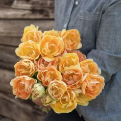 Charming Beauty -Whisper Glen Sales Store 04561 03 charming beauty